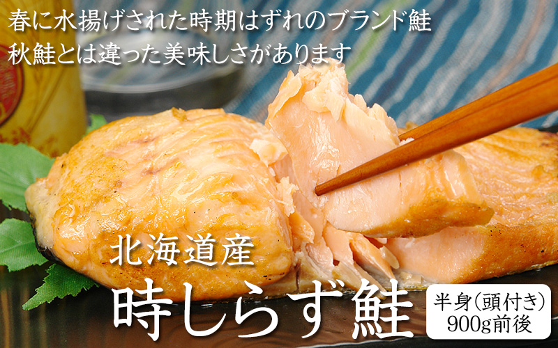 北海道産時しらず鮭半身900g前後 頭付き の通販 最北の海鮮市場