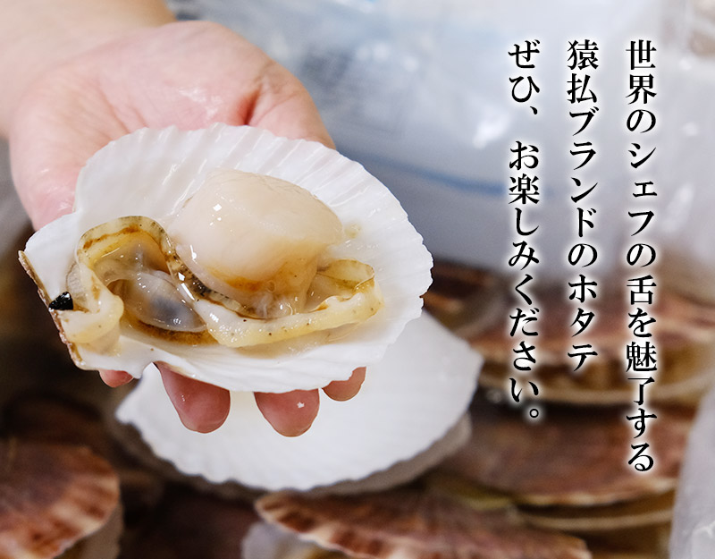 Estelle エステール 6月誕生石 K10 イエローゴールド あこや真珠 イヤーカフ 6 0mm 6 5 Plazabagry Pl