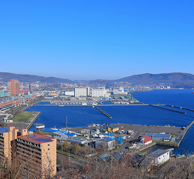 北海道小樽産