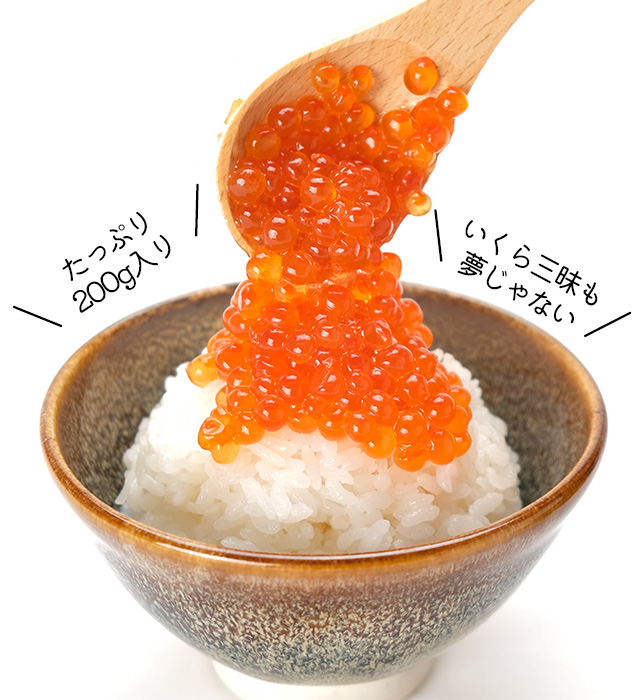 北海道産いくら醤油漬け200g×2の通販｜最北の海鮮市場