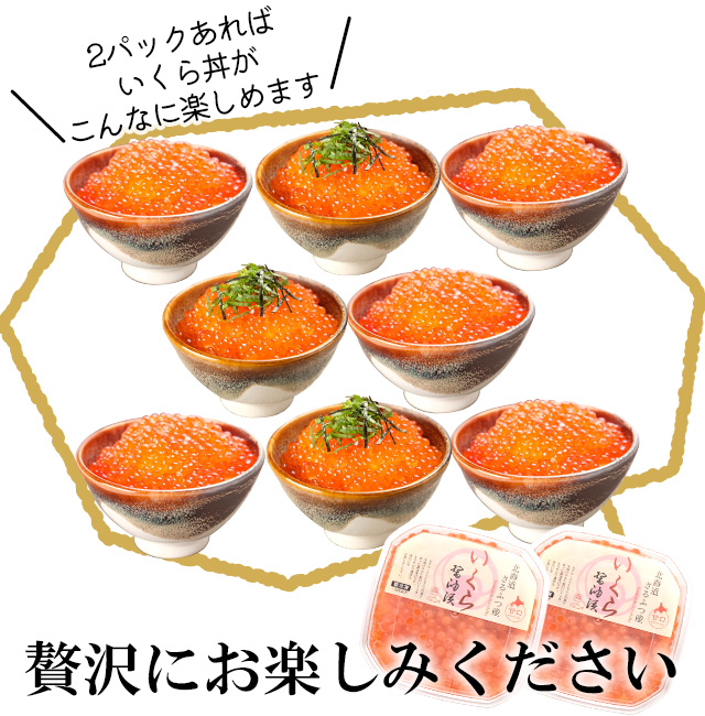 北海道産いくら醤油漬け200g×2の通販｜最北の海鮮市場