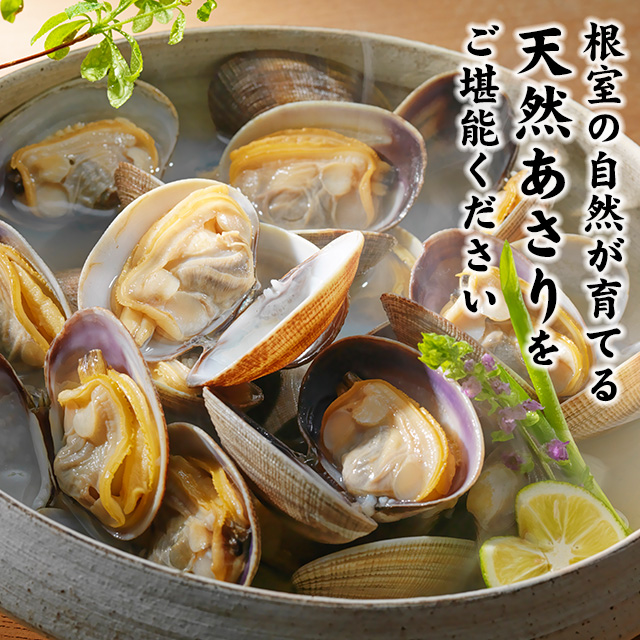 北海道根室産「大」あさり1kgパック＜生冷蔵＞の通販｜最北の海鮮市場