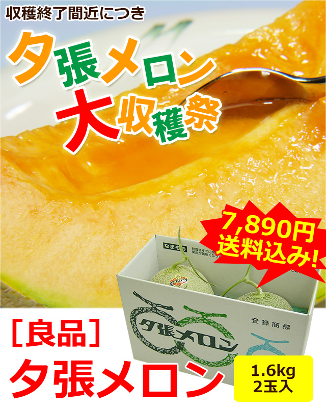 【Plumeria】【熟し始め】夕張メロン良品6玉入8kg箱 夕張メロン 良品6玉入 | 夕張メロン 大箱（元箱） | 夕張メロン