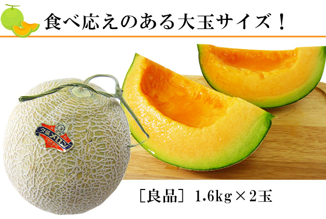 共撰】夕張メロン(良品)大玉1.6kg前後×2玉の通販｜最北の海鮮市場