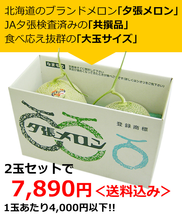 共撰】夕張メロン(良品)大玉1.6kg前後×2玉の通販｜最北の海鮮市場