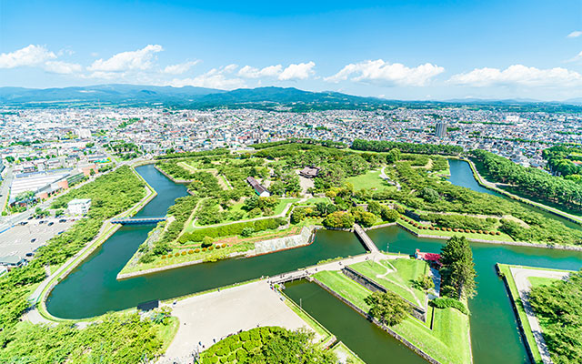 函館育ちの赤肉メロン大玉1.6kg前後×2玉の通販｜最北の海鮮市場