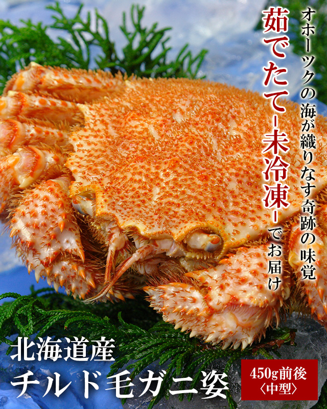 北海道産毛ガニ姿450g前後(枝幸)＜浜茹で・チルド＞の通販｜最北の海鮮市場