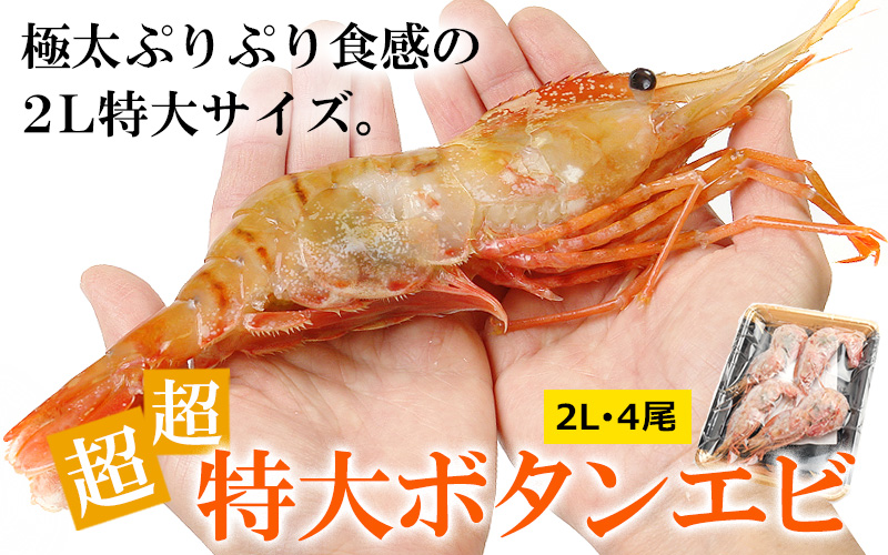 超×2特大ボタンエビ2L250g前後(4尾)＜生冷凍＞