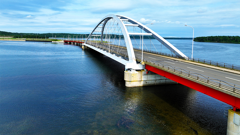 根室名産生干しこまい(ワタ付き)