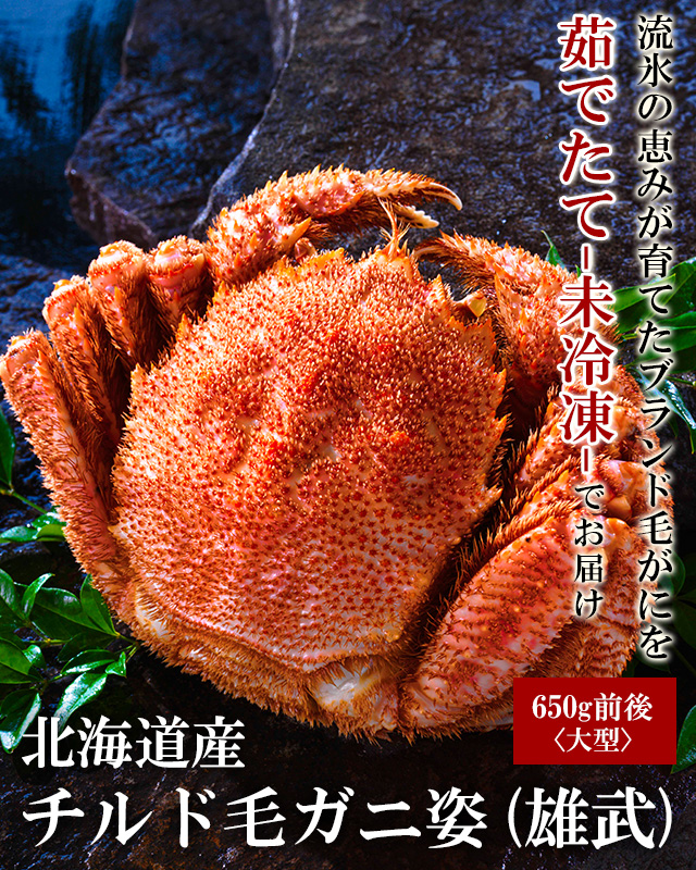 北海道産毛ガニ姿650g前後(雄武)＜浜茹で・チルド＞の通販｜最北の海鮮市場