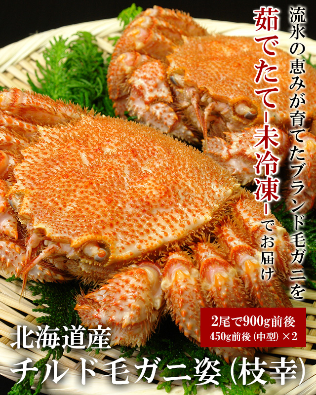 北海道産毛ガニ姿×2尾で900g前後セット(枝幸)＜浜茹で・チルド＞の通販