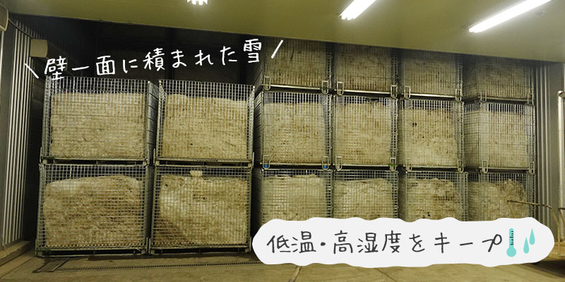 美唄産「春採り」グリーンアスパラ