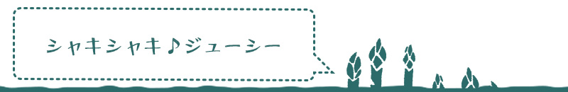 美唄産「春採り」グリーンアスパラ