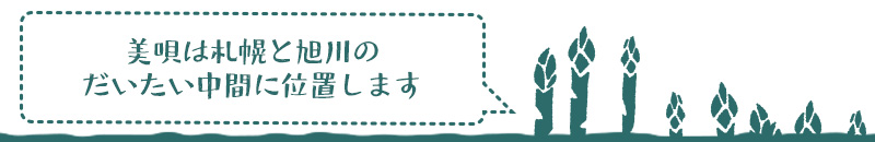 美唄産「春採り」グリーンアスパラ