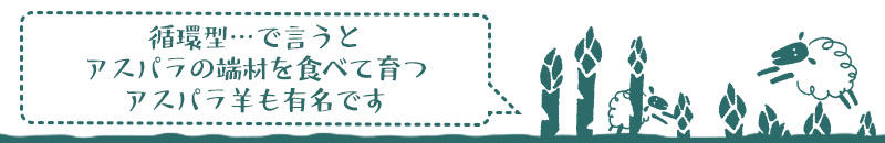 美唄産「春採り」グリーンアスパラ