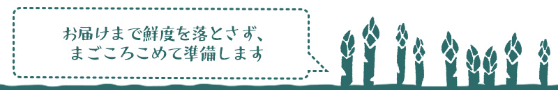 美唄産「春採り」グリーンアスパラ