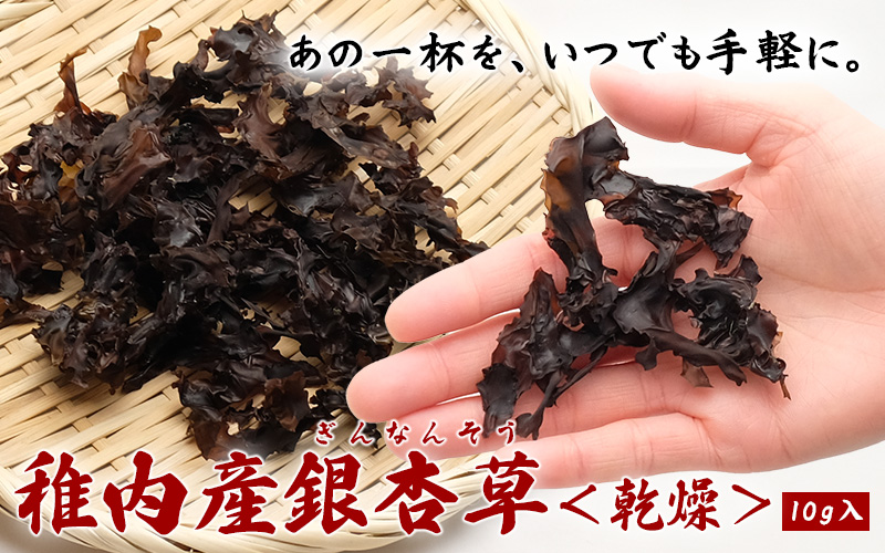 銀杏草