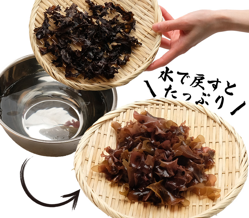 銀杏草