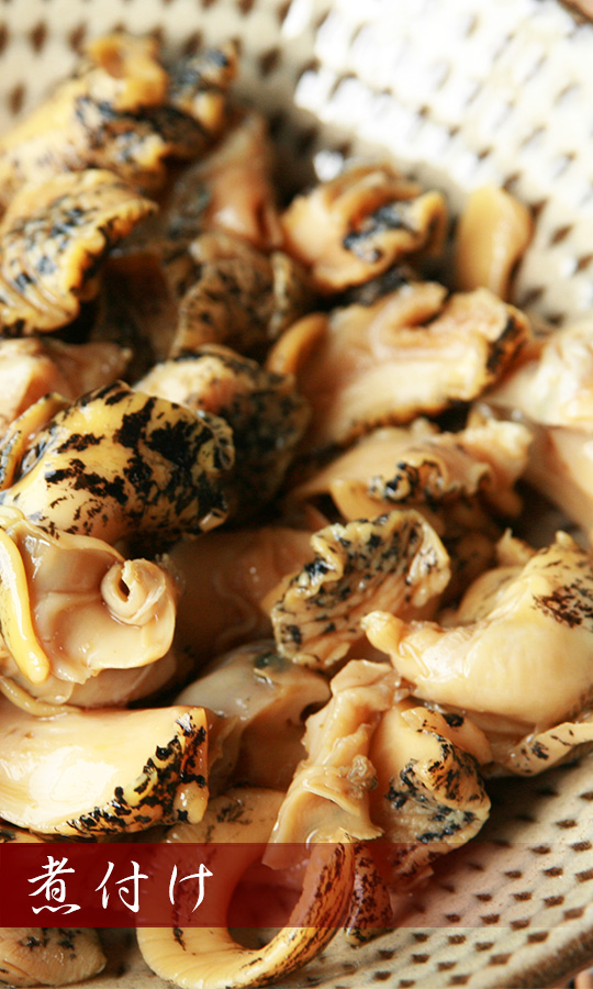 北海道産お刺身用ボイル灯台つぶ貝