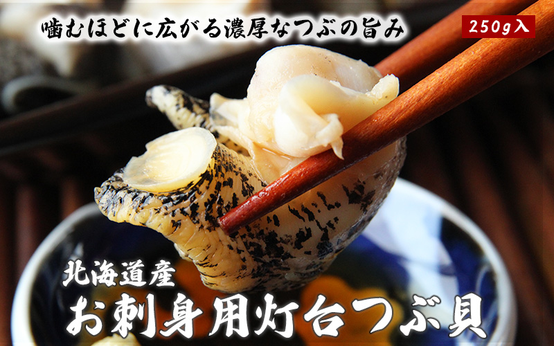北海道産お刺身用灯台つぶ