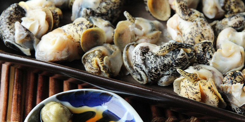 北海道産お刺身用灯台つぶ