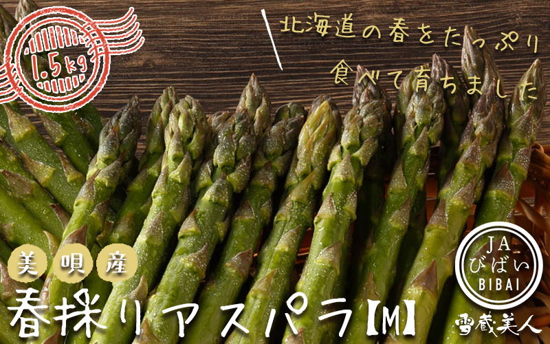美唄産「春採り」グリーンアスパラ