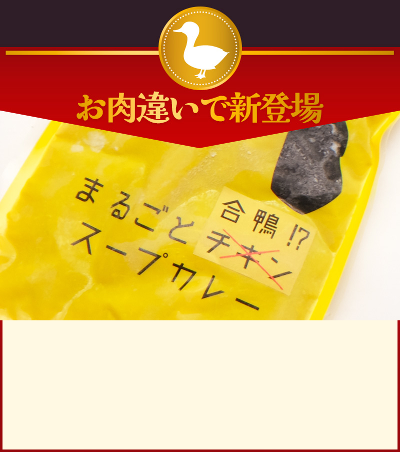 スープカレーとは