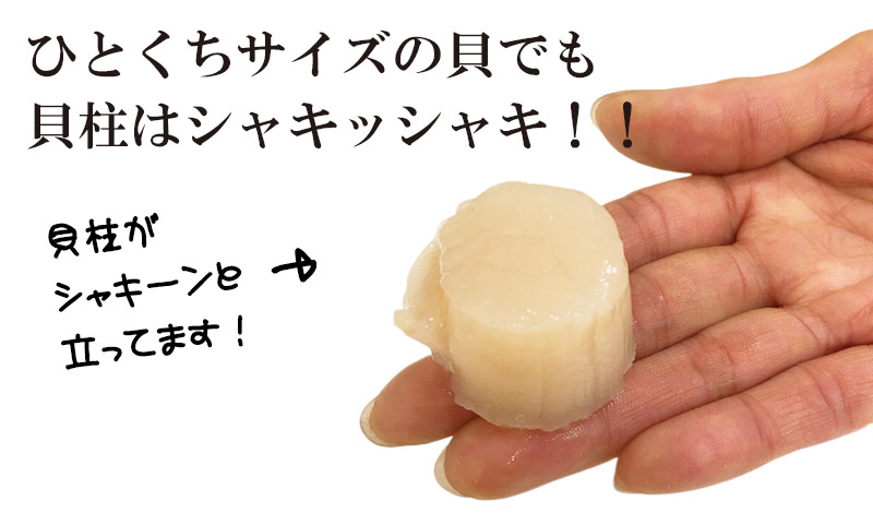 宗谷産活ホタテ