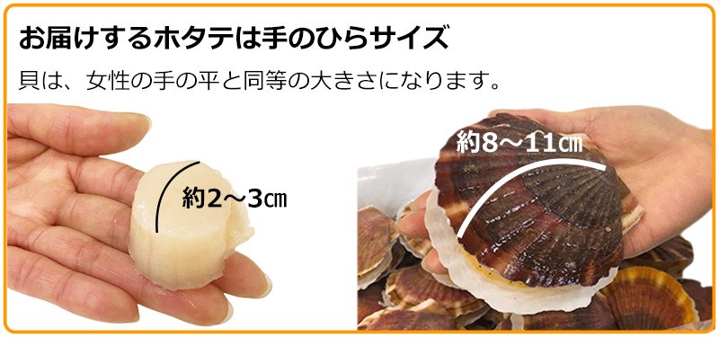 宗谷産活ホタテ