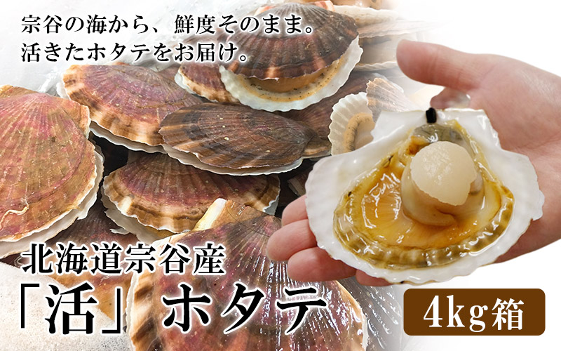 宗谷産活ホタテ