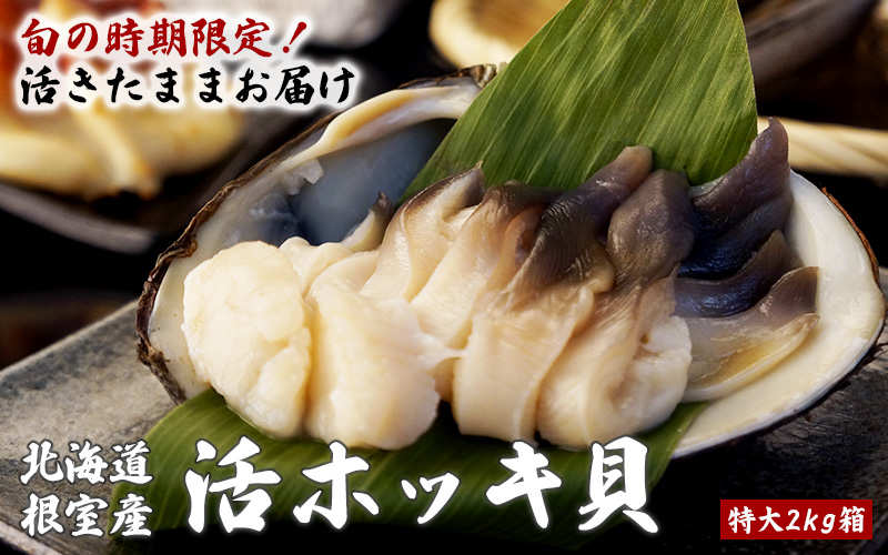 北海道根室産「活」ホッキ