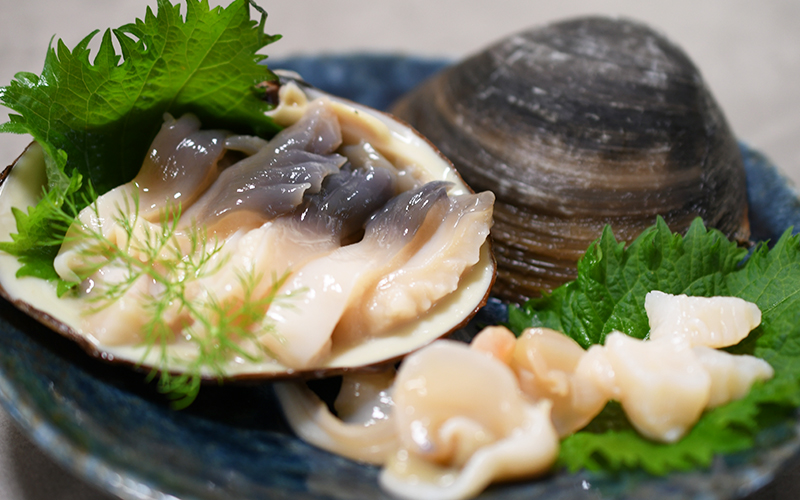 北海道根室産「活」ホッキ