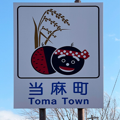 でんすけジュニア(黒小玉西瓜)秀品4Lサイズ