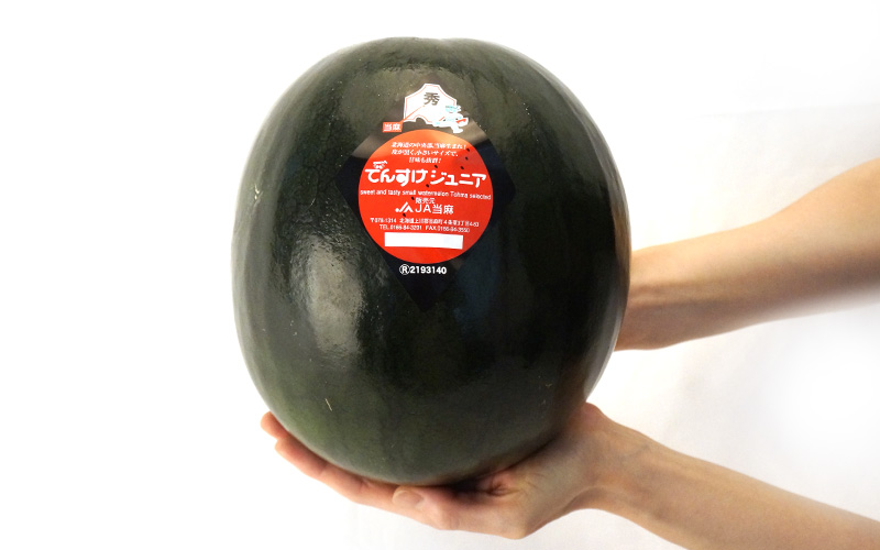 でんすけジュニア(黒小玉西瓜)秀品4Lサイズ