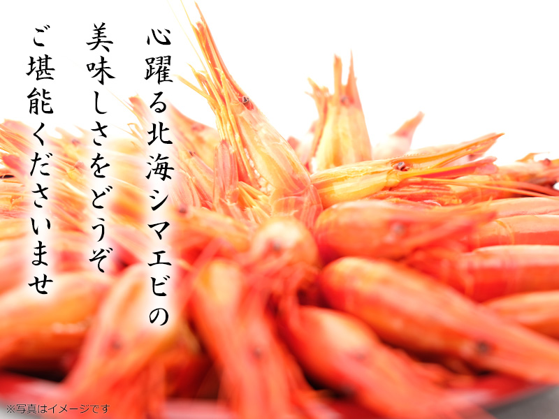 北海道産北海シマエビ