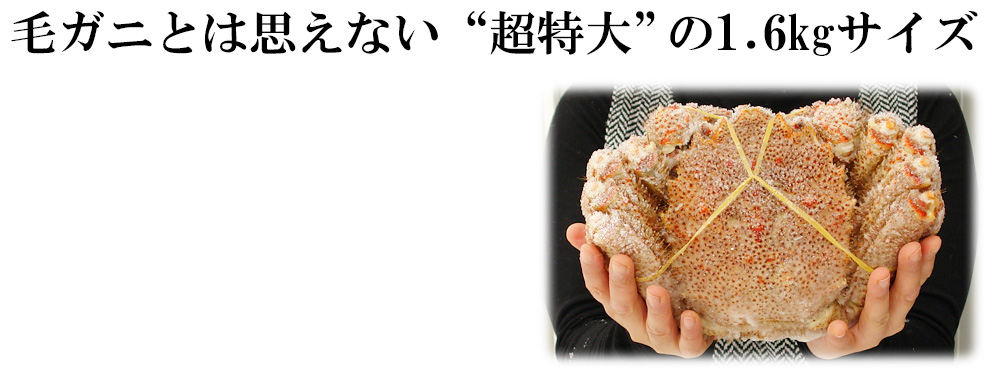 濃厚な味噌の毛ガニ