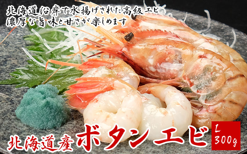 北海道産ボタンエビ