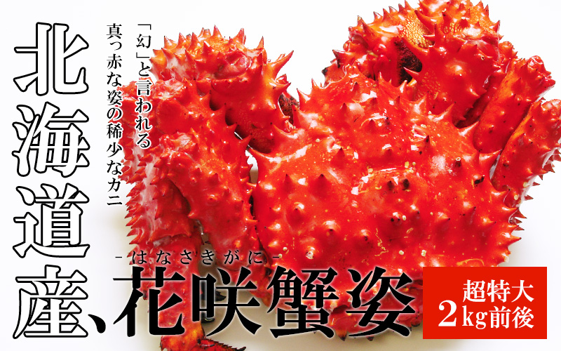 超特大花咲蟹