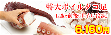 特大ボイルタコ足1.2kg前後