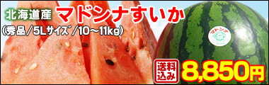 北海道産マドンナすいか5Lサイズ×1玉(秀品)