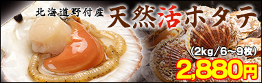 北海道野付産活ホタテ2kg