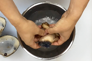 活ホッキ貝のさばき方