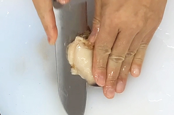 活ホッキ貝のさばき方