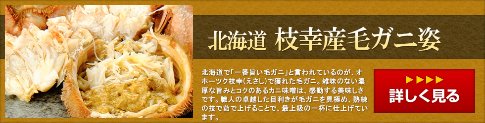 北海道枝幸産毛蟹～北海道で「一番旨い毛ガニ」と言われている最上級の一杯