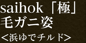 saihok「極」毛ガニ姿＜浜茹でチルド＞