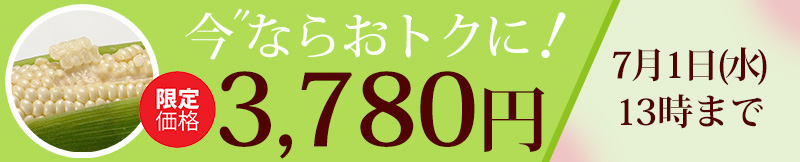 ピュアホワイト