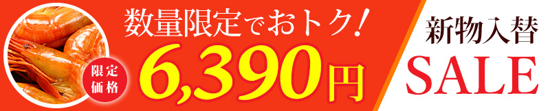 北海シマエビ