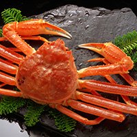 ブランド通販 花咲蟹（花咲ガニ） 最北の海鮮市場 | その他