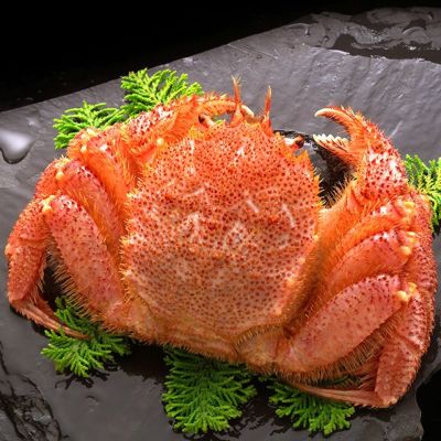 Saihok 極 毛ガニ姿400g前後 ボイル冷凍 の通販 最北の海鮮市場 Saihok 極 毛ガニ姿400g前後 ボイル冷凍 の通販 最北の海鮮市場