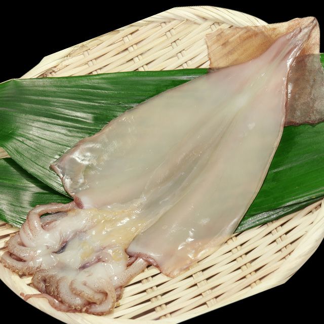 真イカ一夜干し（1枚入）